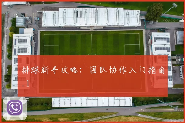 排球新手攻略：团队协作入门指南_1