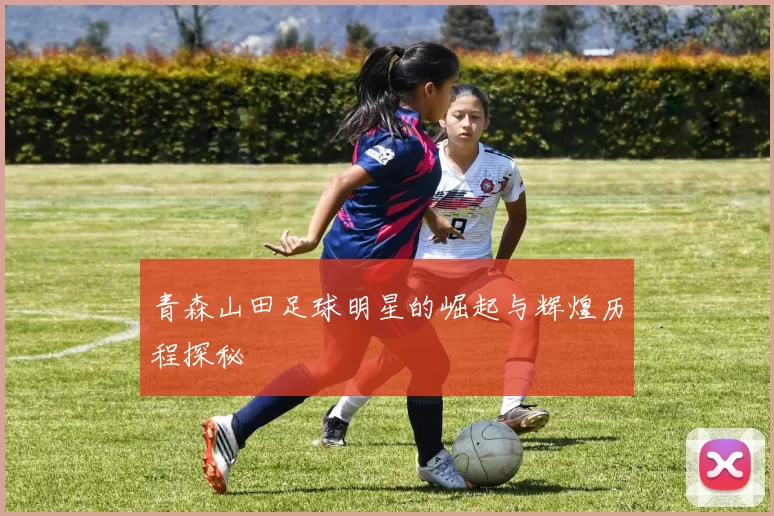 青森山田足球明星的崛起与辉煌历程探秘