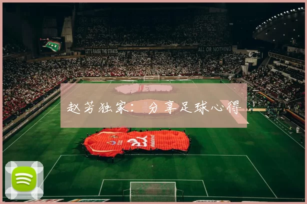 赵芳独家：分享足球心得