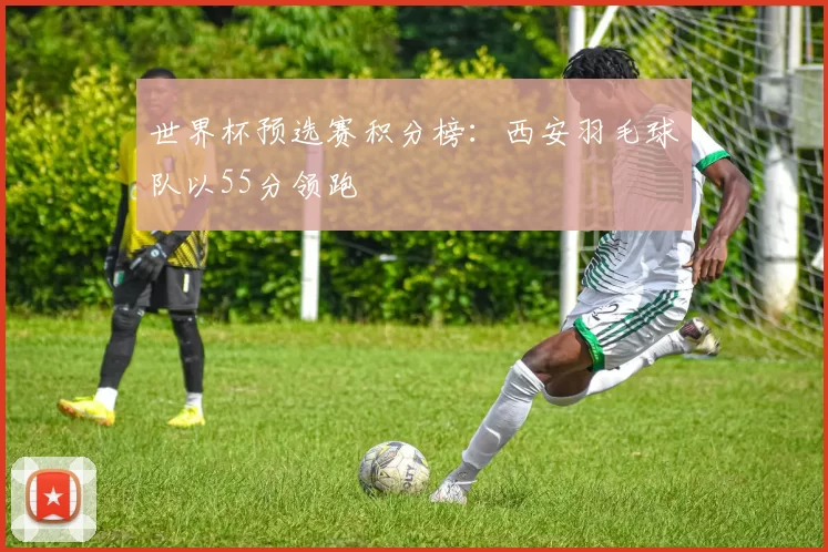 世界杯预选赛积分榜：西安羽毛球队以55分领跑