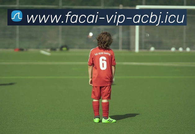 九游体育注册平台生态图